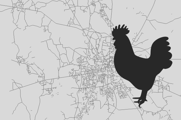 poulet de bresse