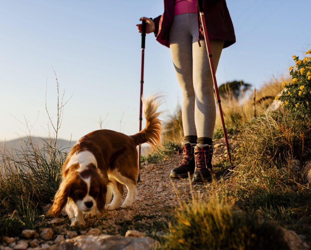 vacances montagne avec chien : une femme qui randonne avec son chien