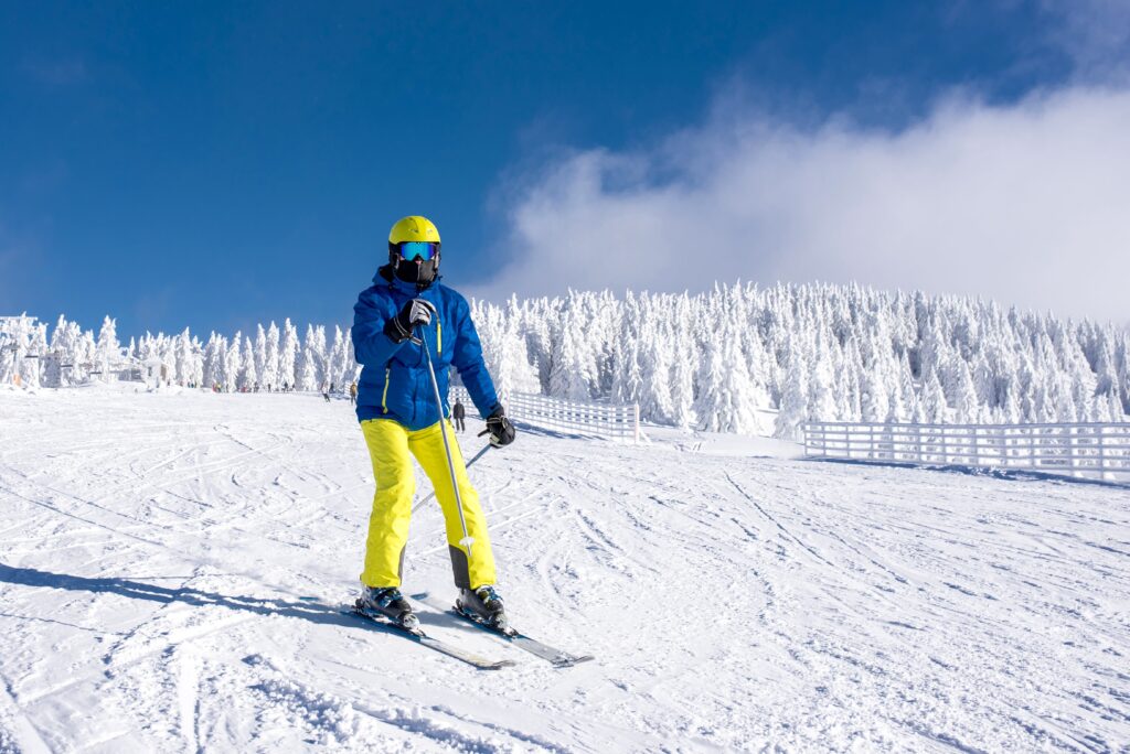 ski janvier : skieur qui skie, sapins enneigés