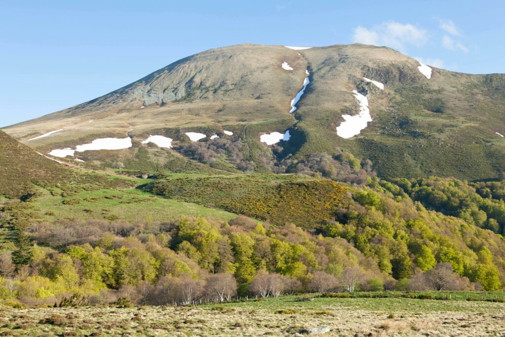 sancy